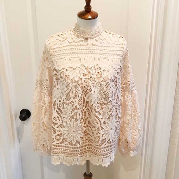 NWT Long Sleeved Lace Top - L - Picture 5 of 8